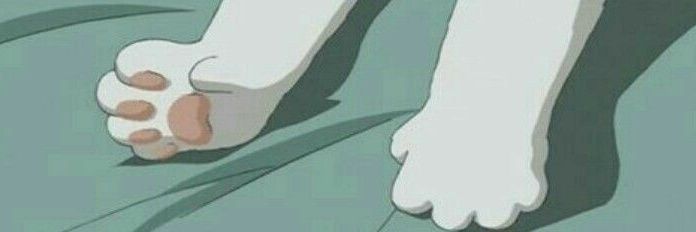 Dayssbibia's profile banner image