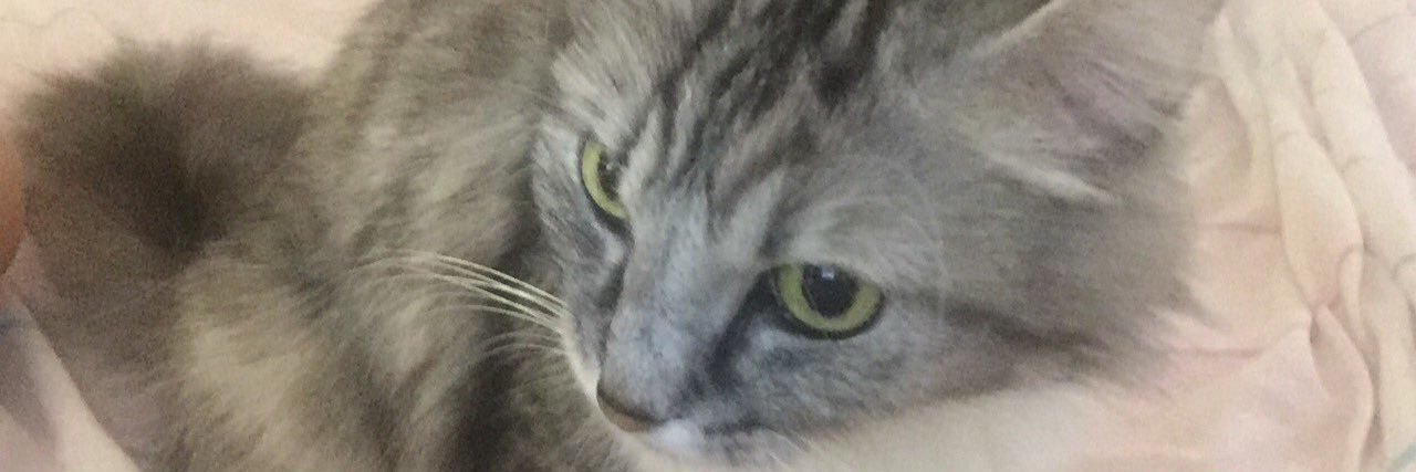 MISIS88's profile banner image