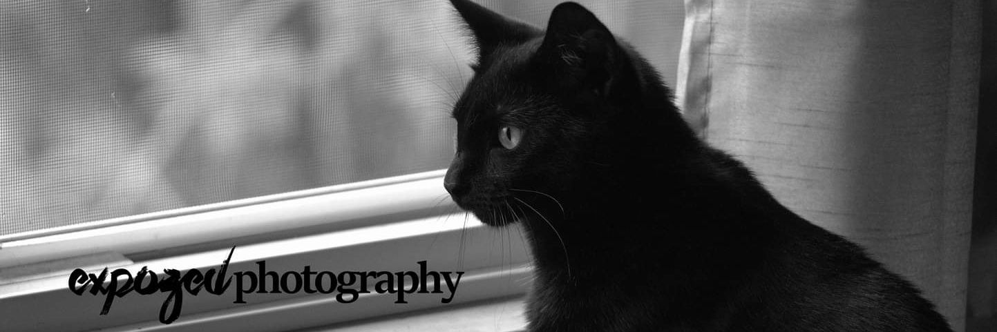 PMurray26's profile banner image