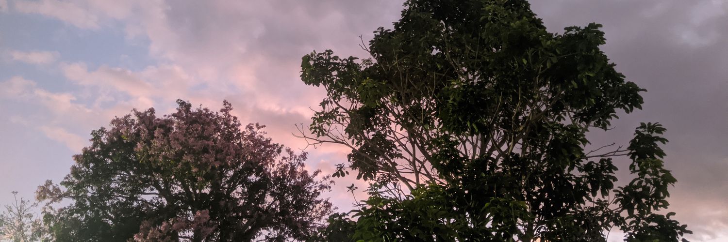 DeboraAgostiniR's profile banner image