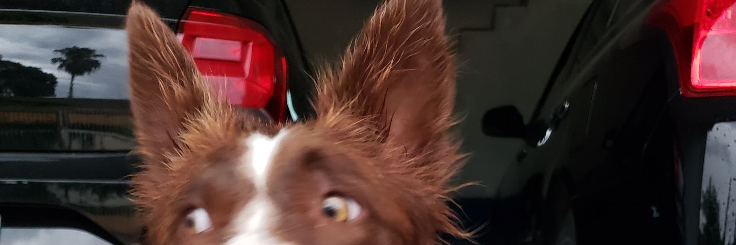 montibelerr's profile banner image