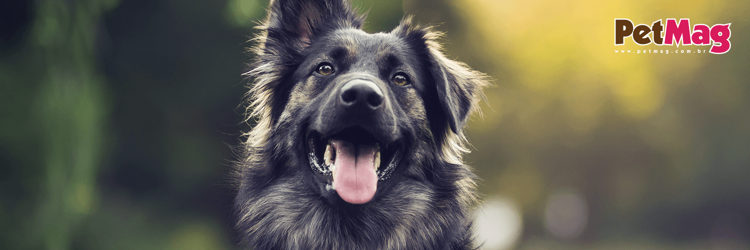 PortalPetMag's profile banner image