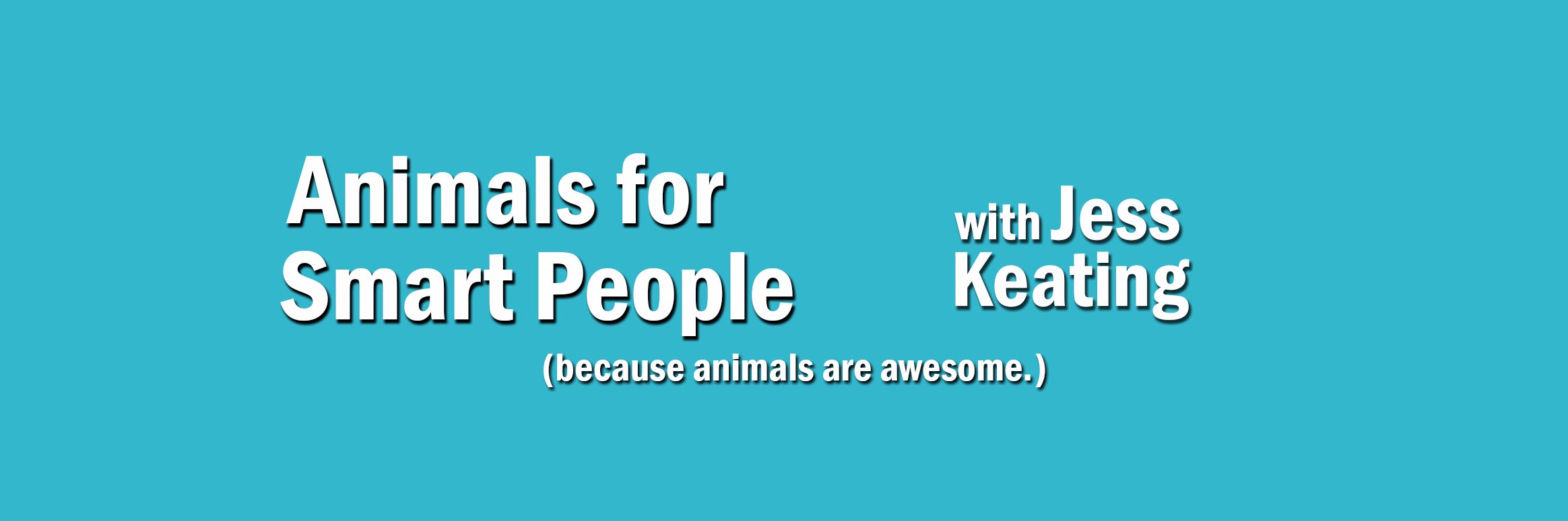 AnimalsSmartPpl's profile banner image