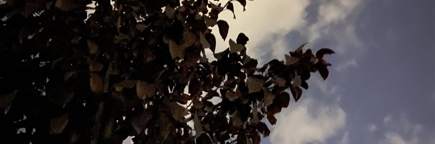 RojdaKurdi62's profile banner image