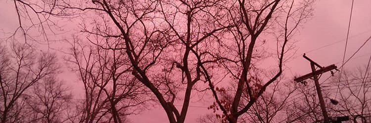 non_rien's profile banner image