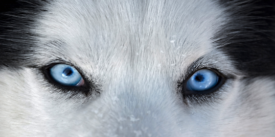charles9500's profile banner image
