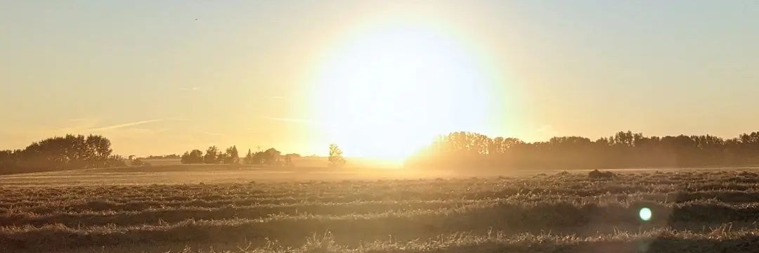 Bernd Van't Klooster banner