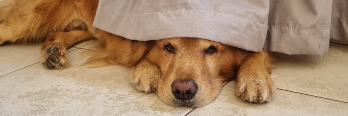 anakxb's profile banner image