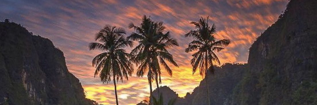 beachside311's profile banner image