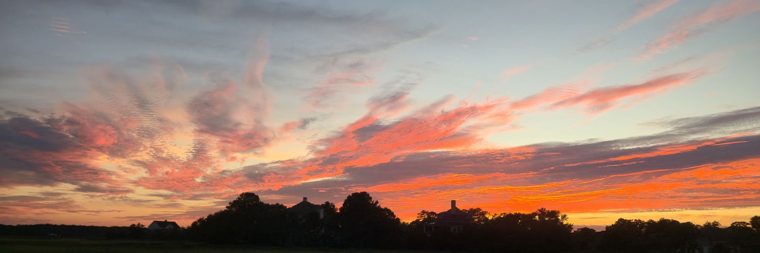 robingreenville's profile banner image