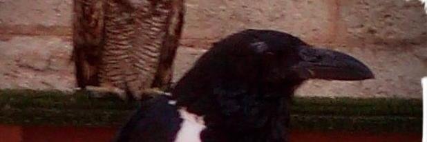 JeremyPoole2's profile banner image