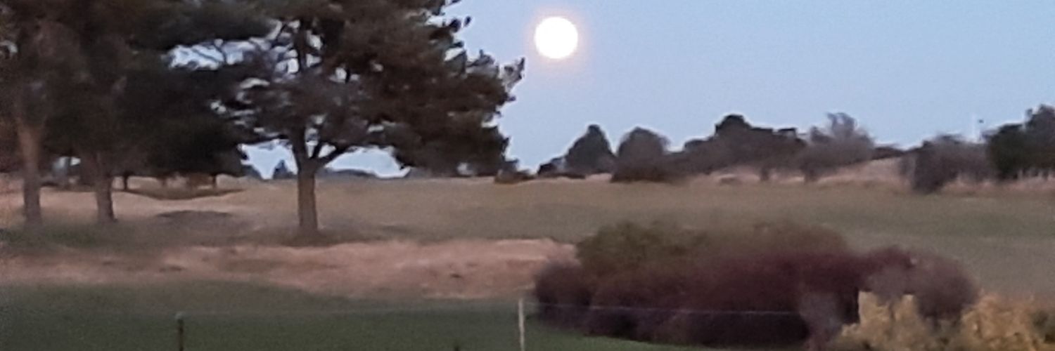 Roger Garbett banner