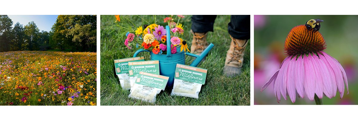 American Meadows banner