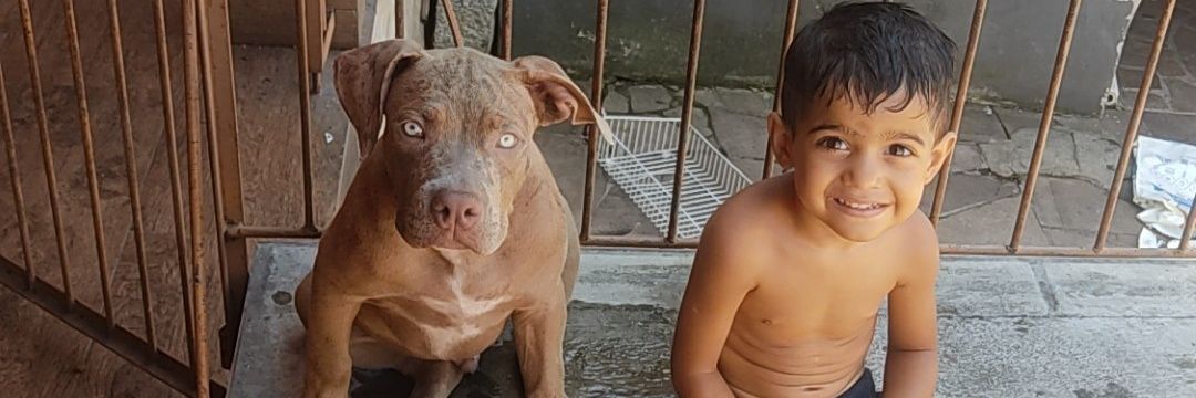 __matheusroocha's profile banner image