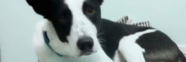 maarcelinha_'s profile banner image