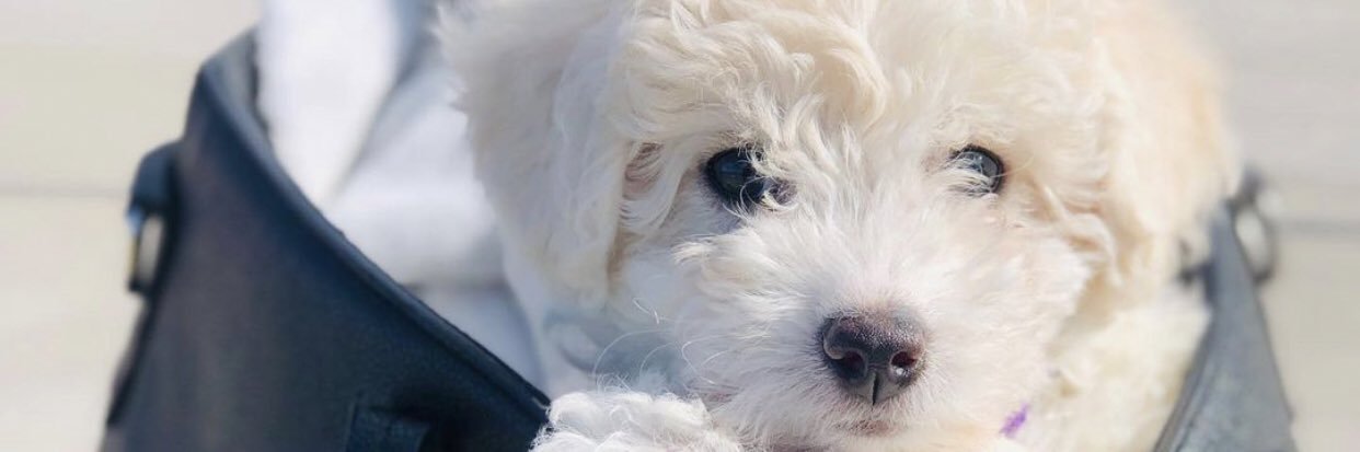 SoofDuran's profile banner image
