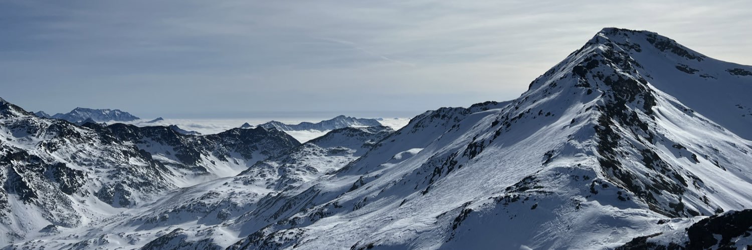 Domenico Colucci banner