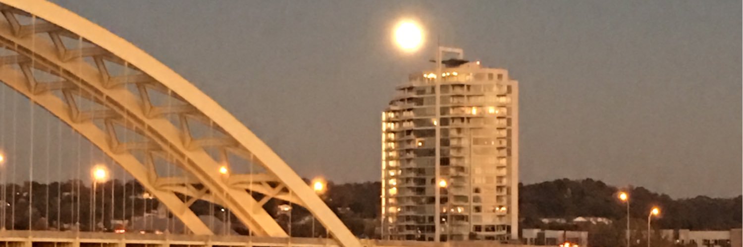 Stacey Morrison banner