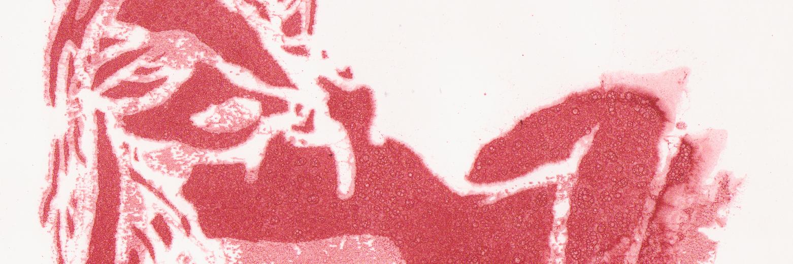 noozdesign's profile banner image