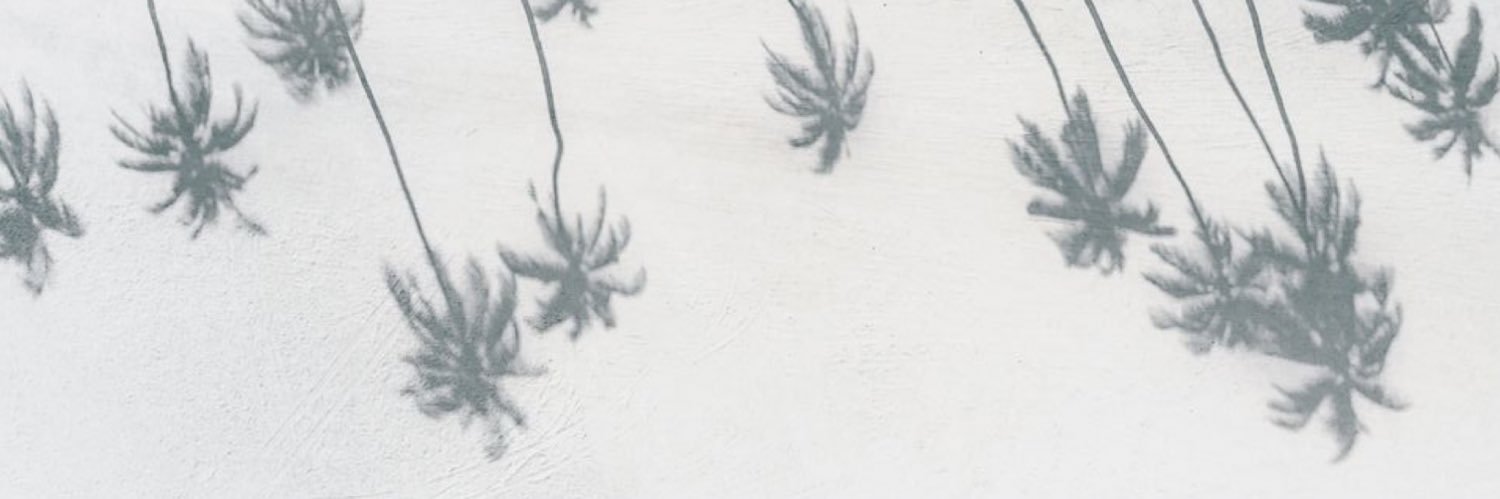maayyMN's profile banner image