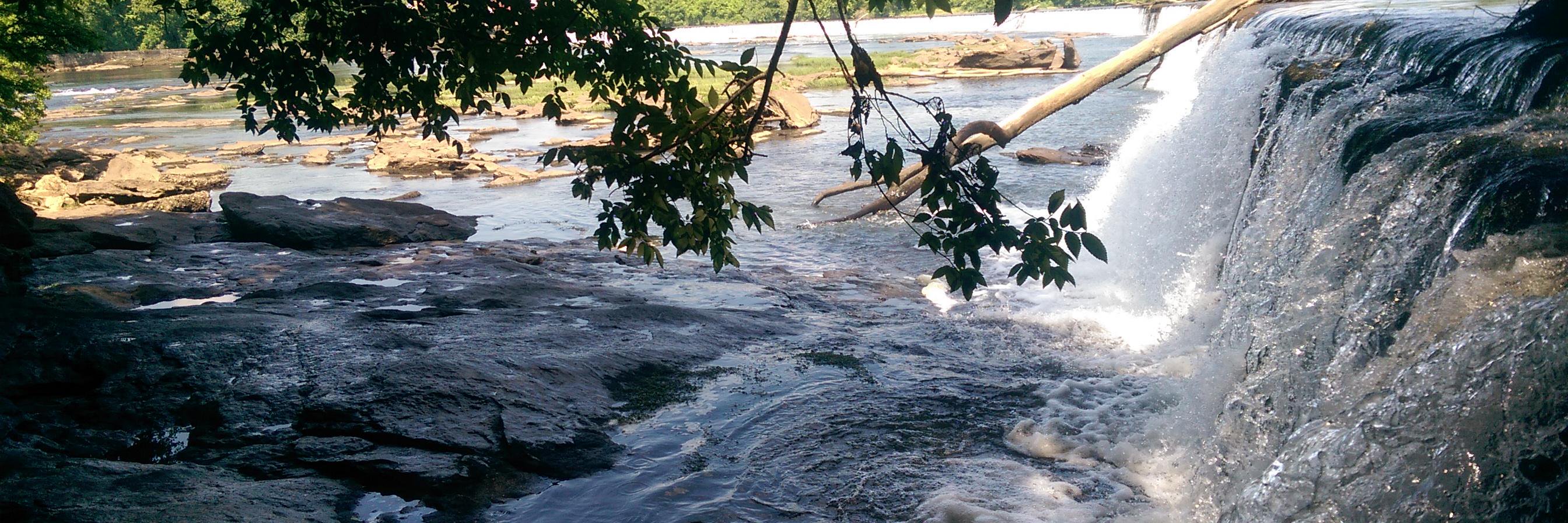 Steven Brawner banner