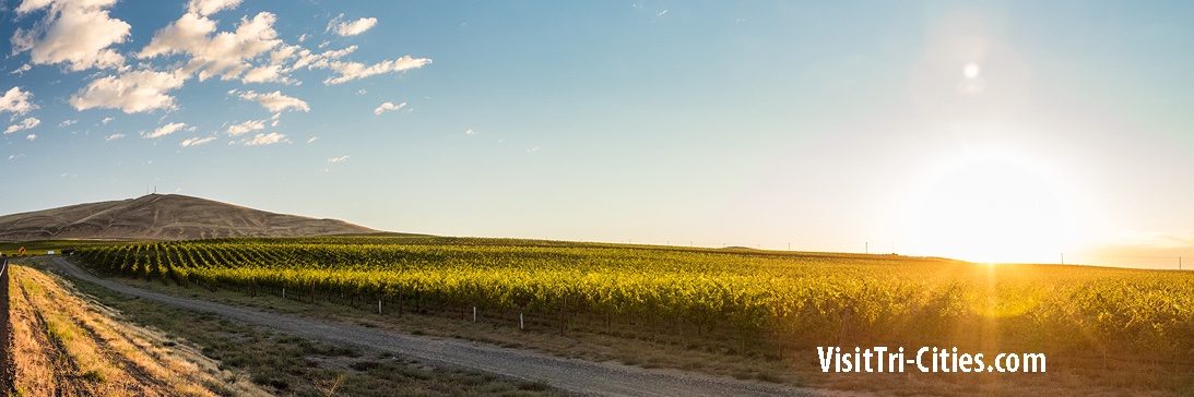 Tri-Cities, WA banner