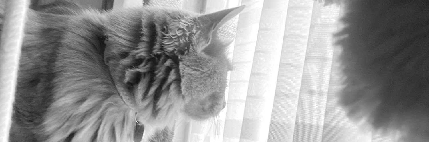 AlejandraRios27's profile banner image