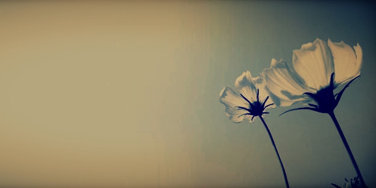 97Shauna's profile banner image