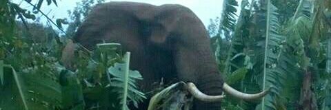Louimunene_'s profile banner image