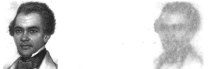 devo_devo's profile banner image