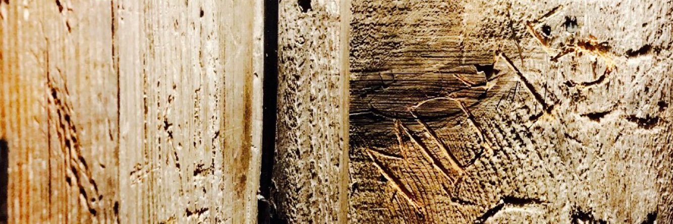meghdeam's profile banner image