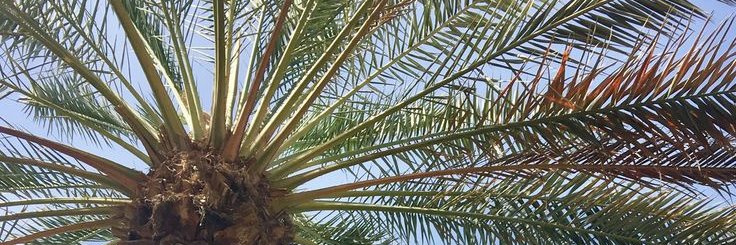 adi_gf7's profile banner image