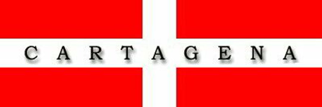 Quique 🇩🇰🏁🇺🇦💪 banner