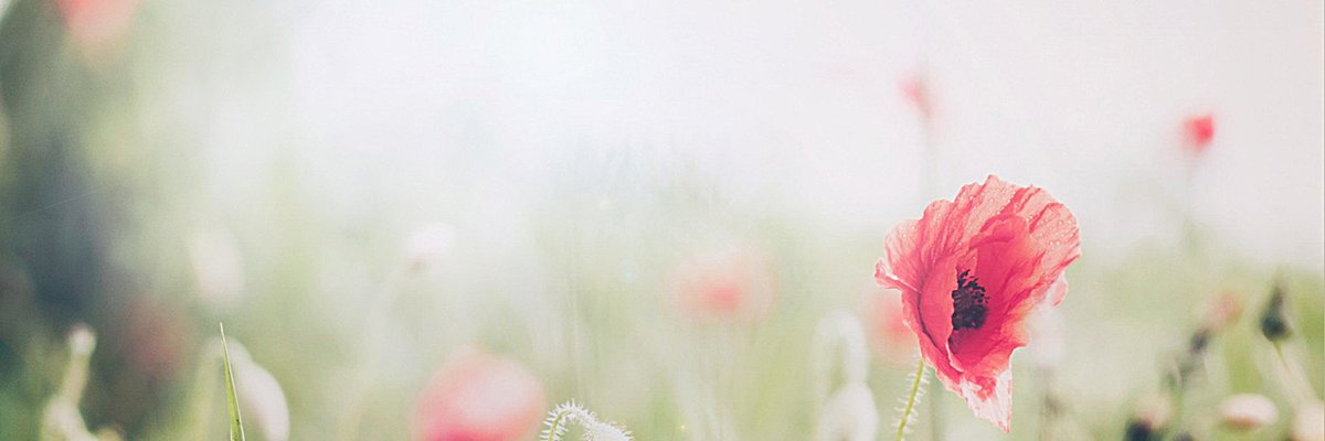 Lei Chen's banner