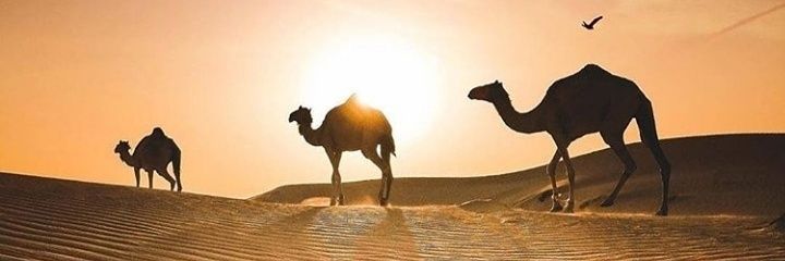 maxrif21's profile banner image