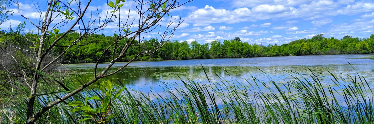 Centennial Grade 3 banner