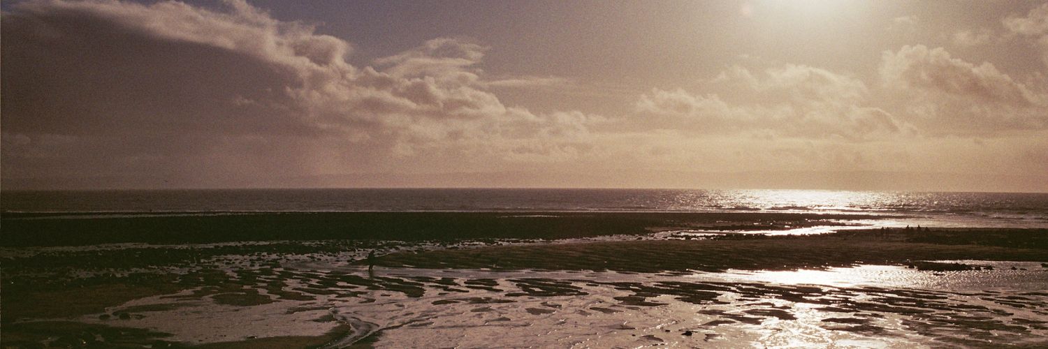 starrhys's profile banner image