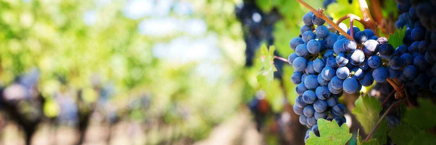 Maryland Wineries Association banner