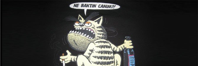Cüneyt from TAF banner