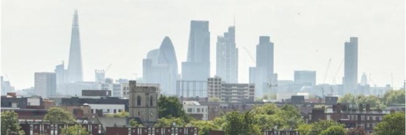 Ben D 🕺 banner