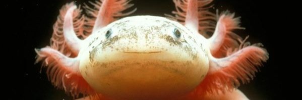 samlerner's profile banner image