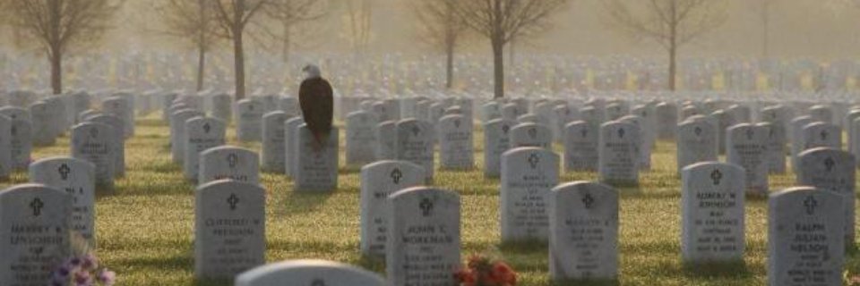 BillNally's profile banner image