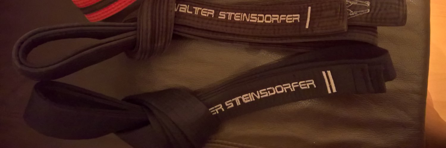 steinsdorfer's profile banner image