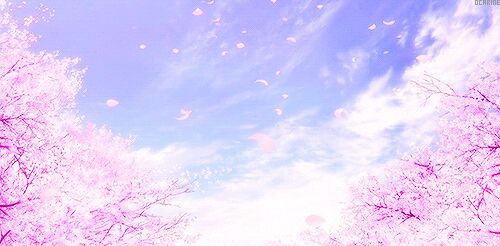 NERO_Irmscher's profile banner image