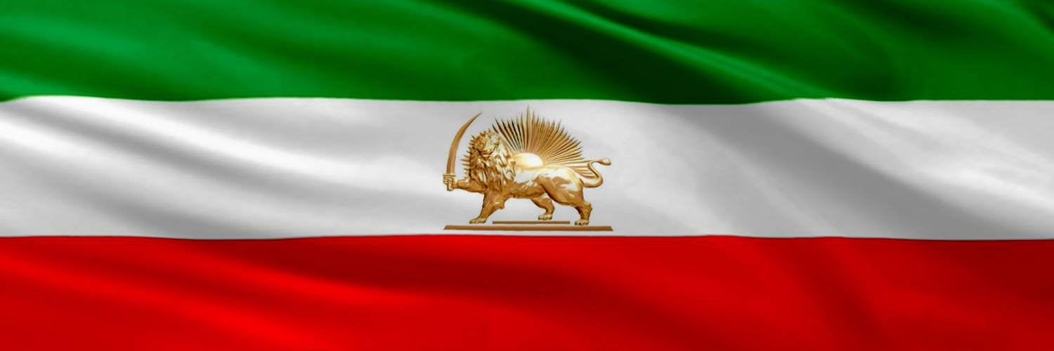 Ali Safavi banner