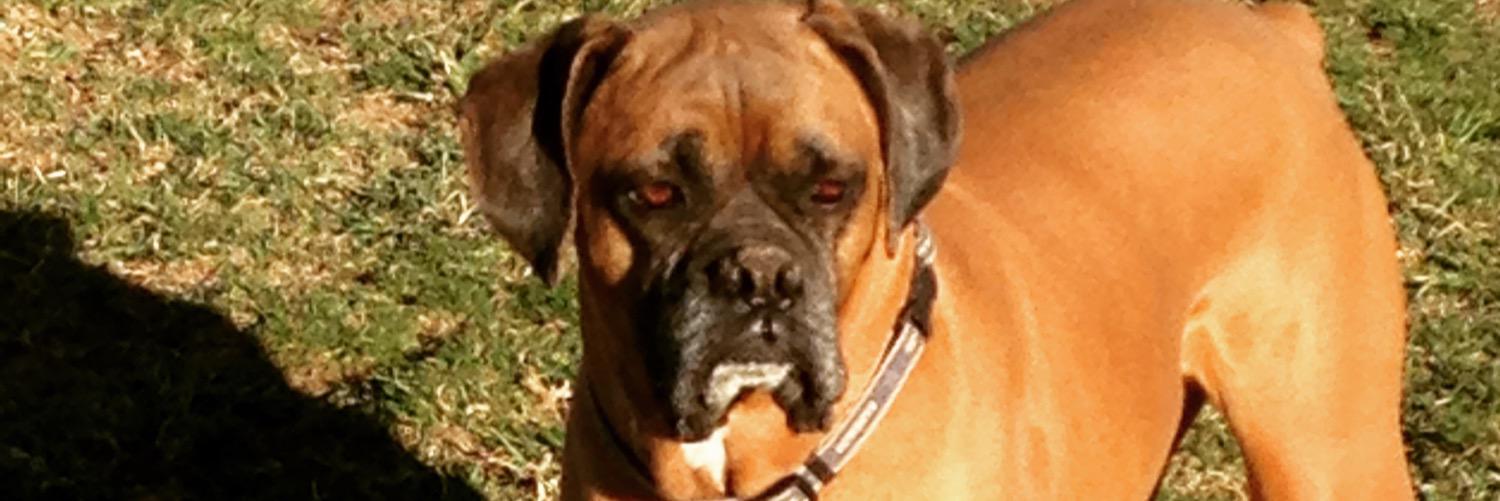 ChaseFeaster's profile banner image