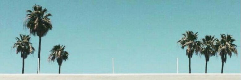 BEACHSKULLS's profile banner image