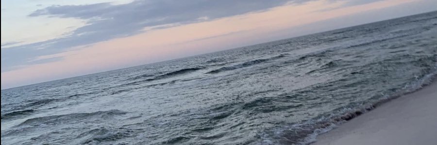 morgandewease's profile banner image