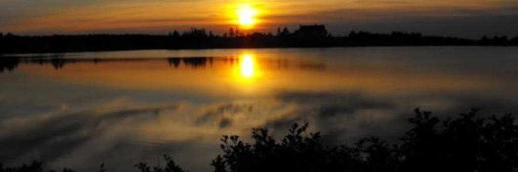 Barbie Squires banner