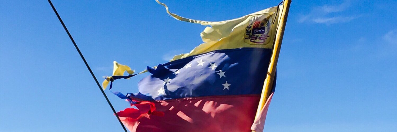 Maye Berrizbeitia banner